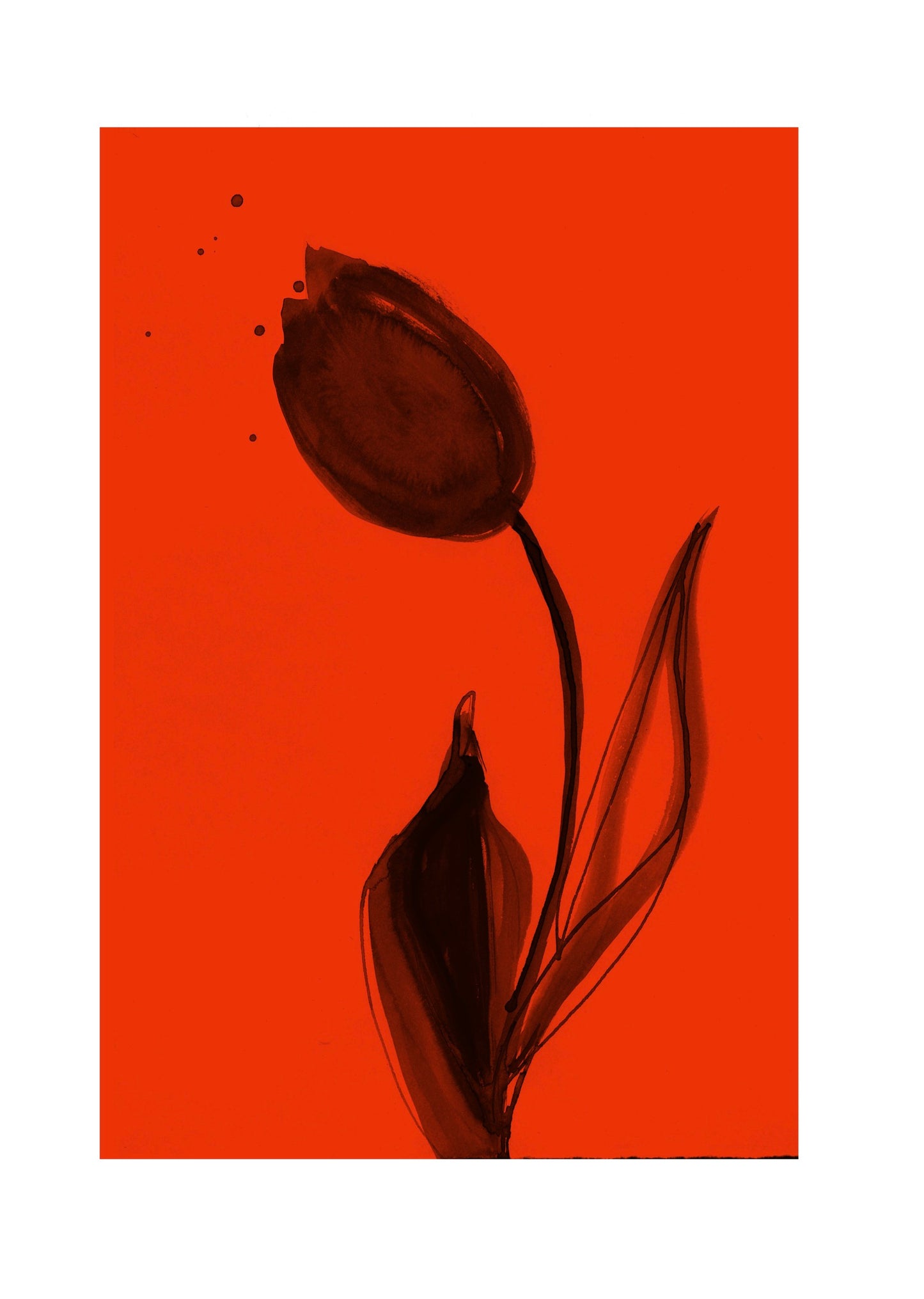 Artistic depiction of a tulip on an orange background