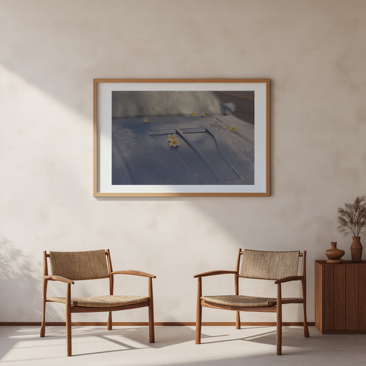 Vava Ribeiro - Work #3: Plumeria on a Camaro Pupukea, Oahu - Poster