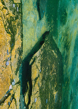 Load image into Gallery viewer, Maria Helena K. Nerhus - Work #5: Vatten I, Voss