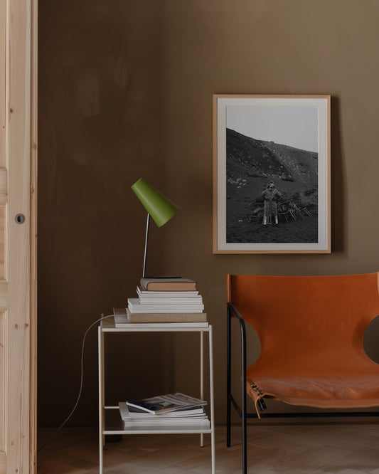 Dusan Reljin - Velvet Volcano #2