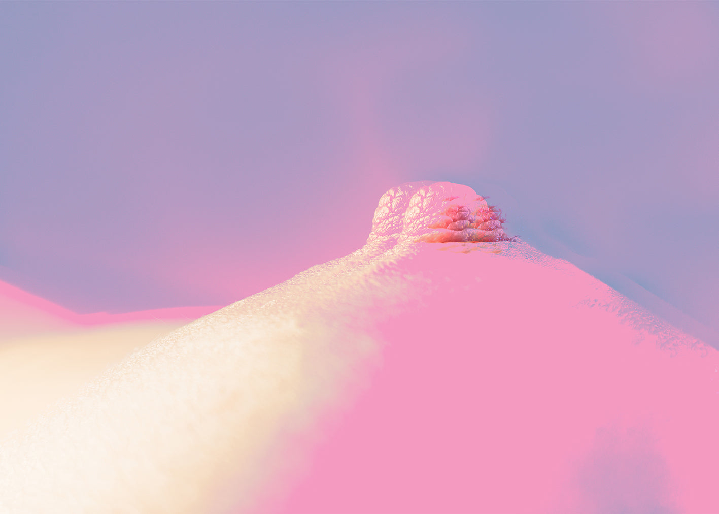 This image features a striking art poster by Berglind Rógnvaldsdóttir, capturing the ethereal essence of a mountain peak bathed in a pink hue, with soft, gradient-like transitions in the background. The poster, measuring 50x70 cm, elegantly showcases the artwork, which blends natural beauty with a subtle hint of the feminine, reflecting the artist’s unique aesthetic and political views.