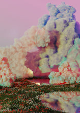 Load image into Gallery viewer, Rasmus Stride - In Flanders Field 2020