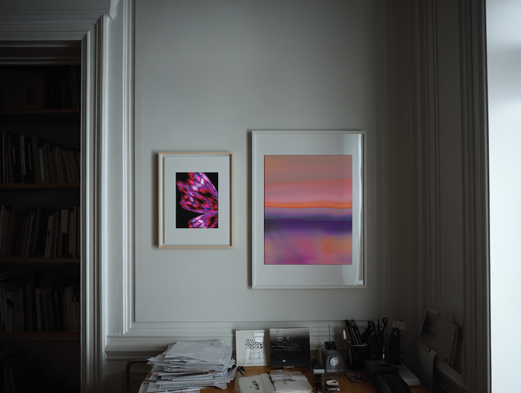 Editor’s Spotlight