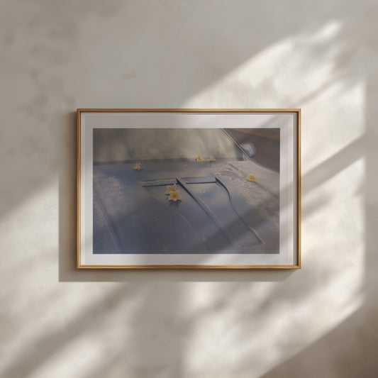 Vava Ribeiro - Work #3: Plumeria on a Camaro Pupukea, Oahu - Poster