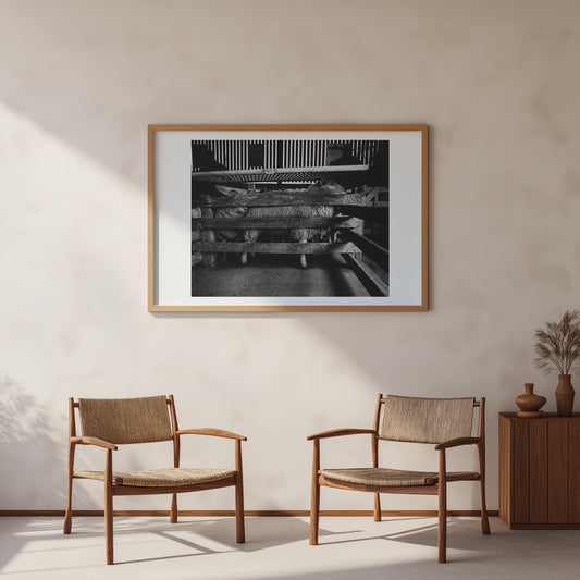 George Hutton - Work #5: Sheep - Poster