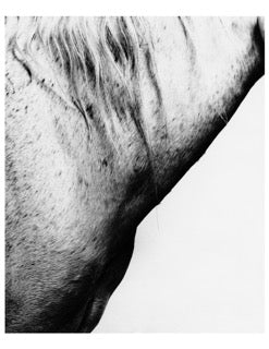 Dusan Reljin - Untitled #6