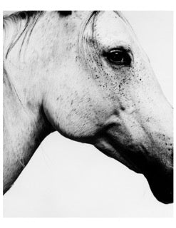 Dusan Reljin - Untitled #7