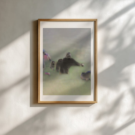 Andreas Reutz #6 - Silverback love story