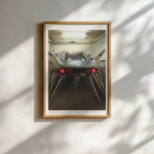 Donato Piccolo - Work #1 : heart 1-  Poster