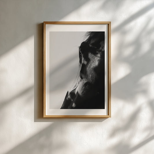 Pernille Sandberg - Nebula n°1