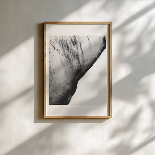 Dusan Reljin - Untitled #6