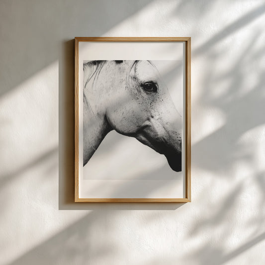 Dusan Reljin - Untitled #7
