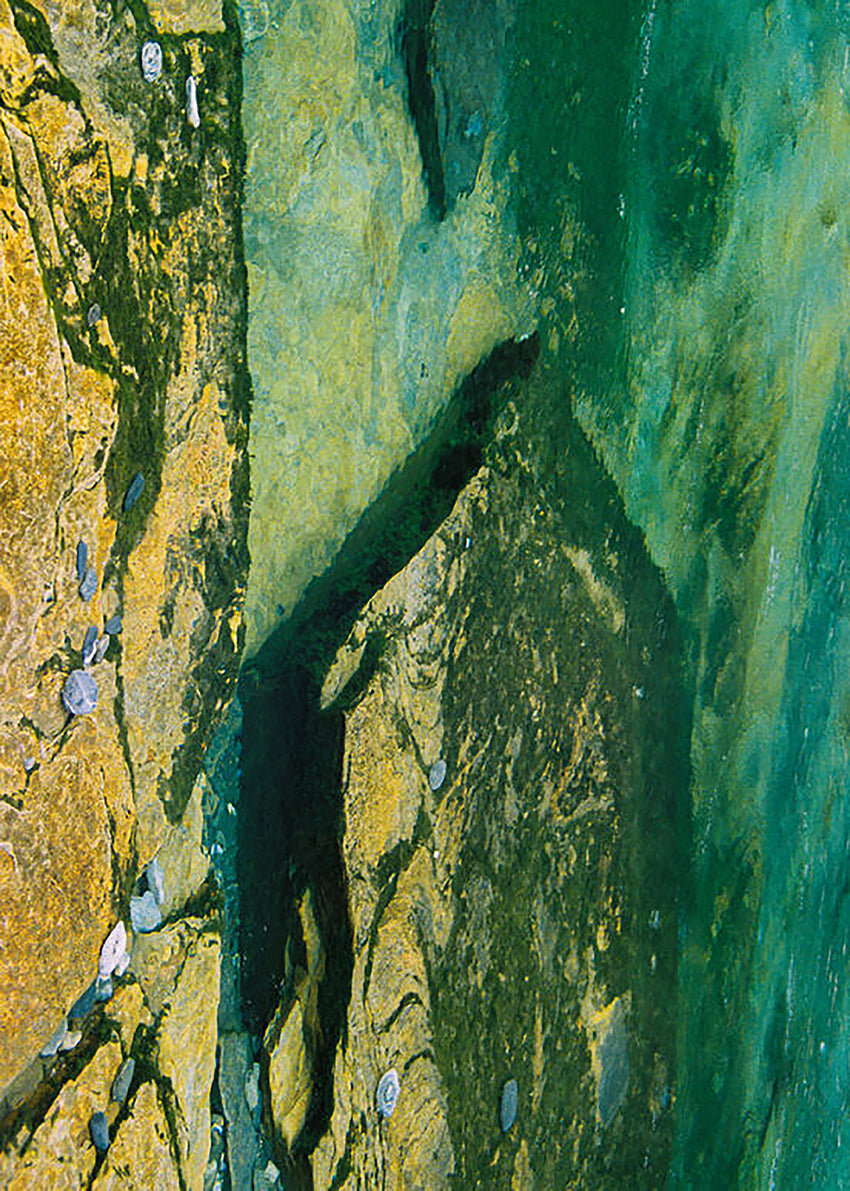 Maria Helena Nerhus - Work #19