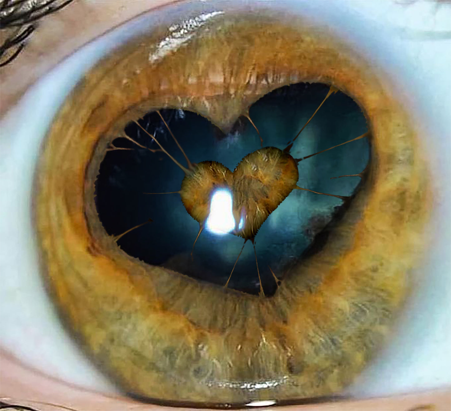 Willa Wathne - Work #2 -  Poster