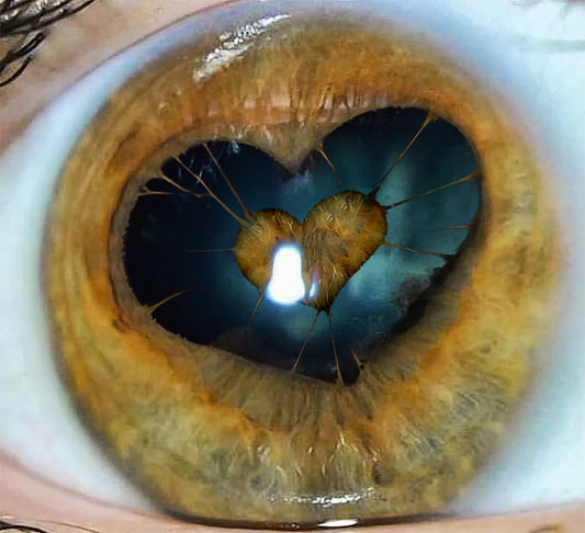 Willa Wathne - Work #2 -  Poster