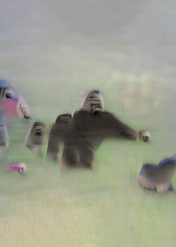 Andreas Reutz #6 - Silverback love story
