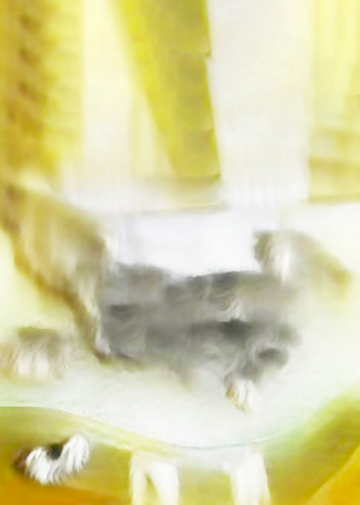 Andreas Reutz #7 - Happy to dog - Poster