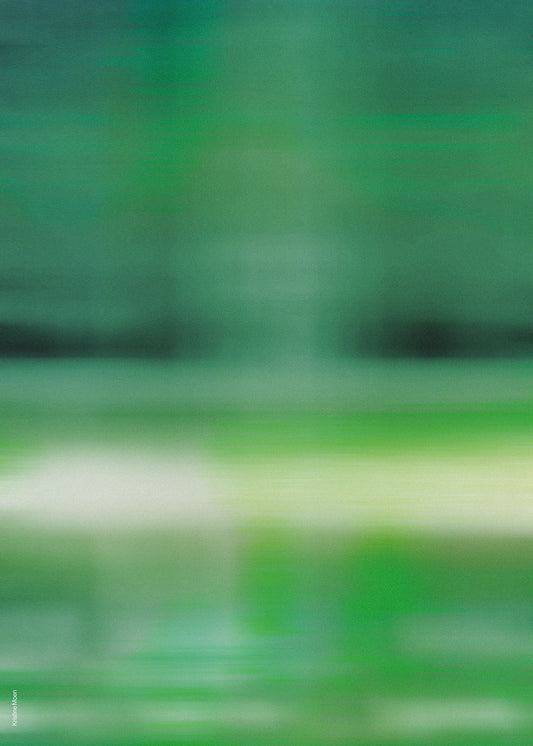 Kristine Moen - Birds of Paradise