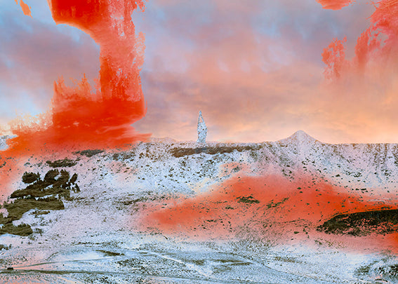 This image features an art poster titled "Berglind Rógnvaldsdóttir #6", created by contemporary artist Berglind Rógnvaldsdóttir. The artwork presents a striking blend of natural elements and dreamlike qualities.