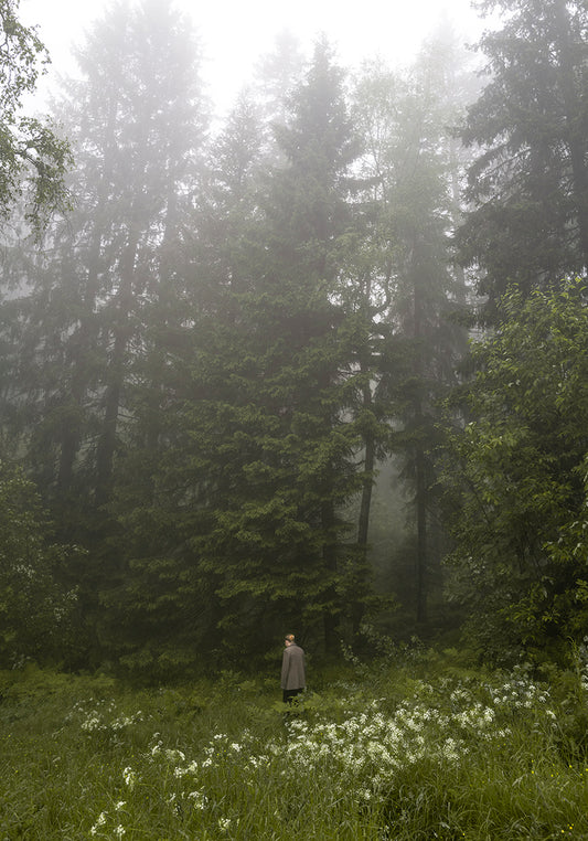 A person standing in a misty forest clearing with tall trees and greenery around, possibly the artwork represented in the poster.