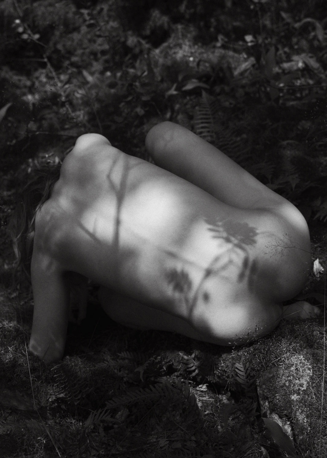 Massimo Leardini - Untitled #1