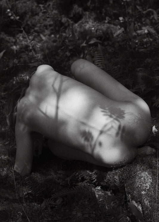 Massimo Leardini - Untitled #1