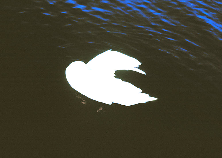 Marthe Bleu - Untitled 11 - Poster