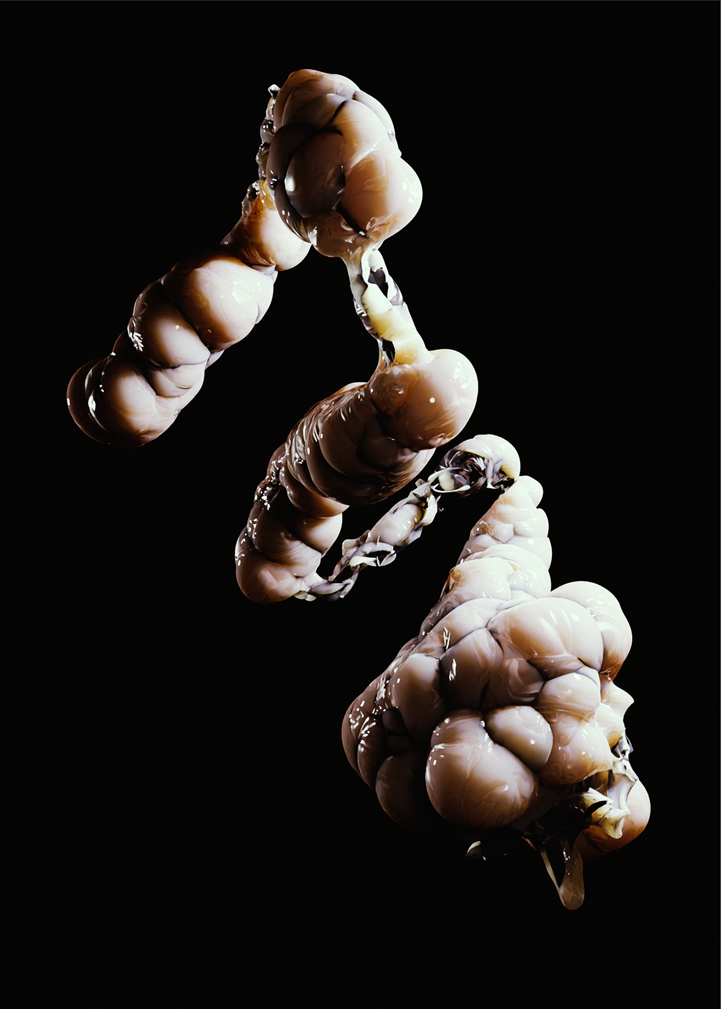 Shkumbin Vishi - Work #6 - WHO’S INTESTINES? - Poster