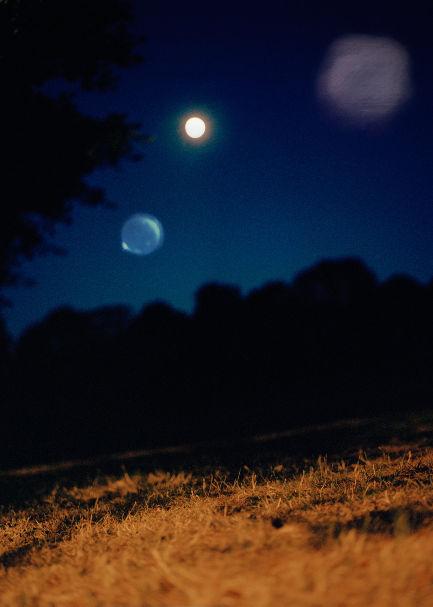 Vicki King - Three Moons