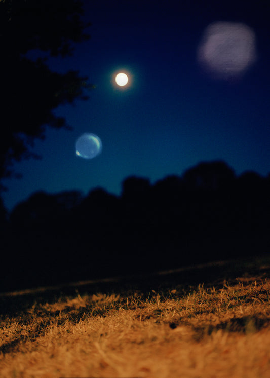 Vicki King - Three Moons