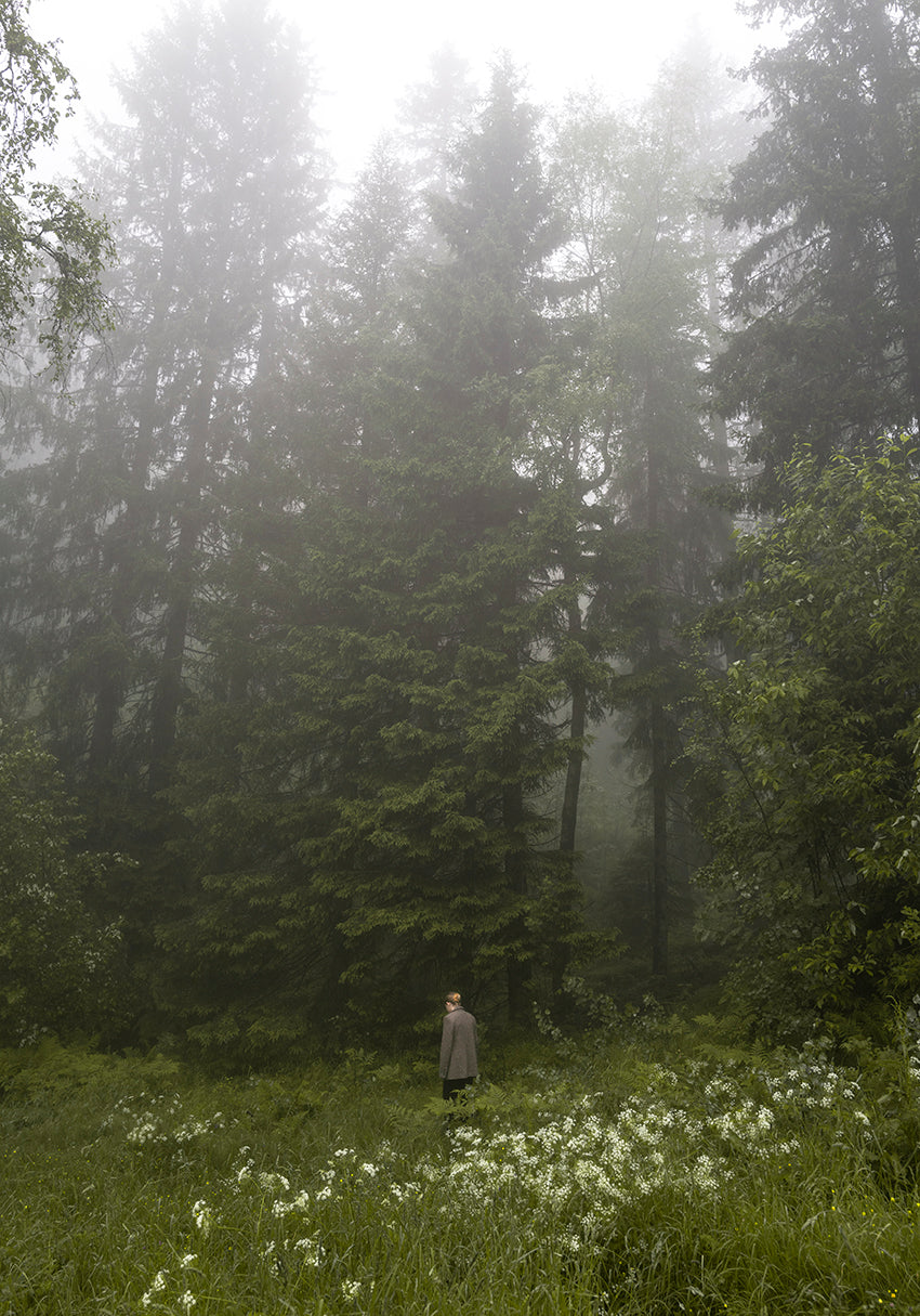 Henriette Sagfjord - Work #11: Roots  - Poster