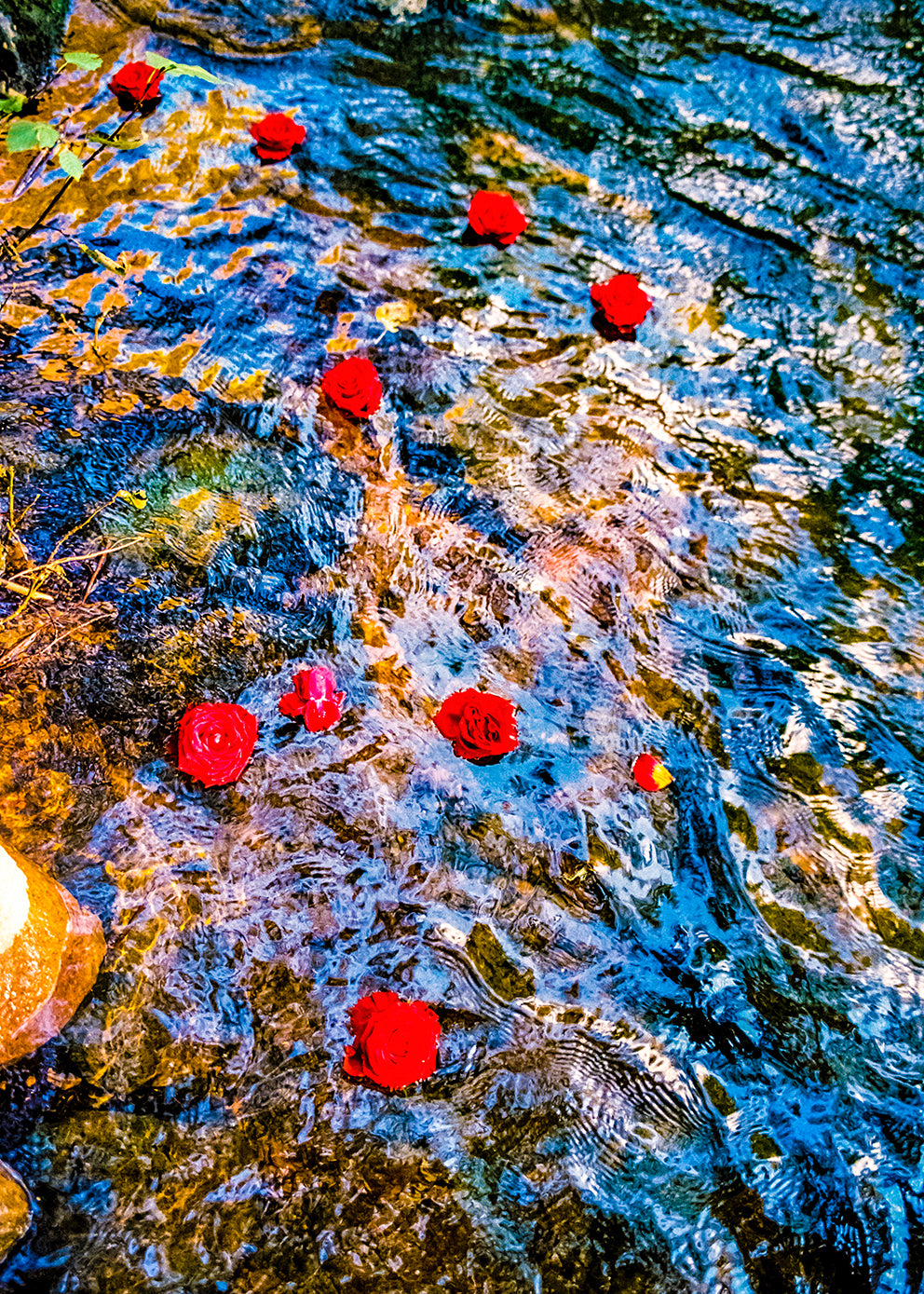 Mari Amman - Work #10: Incarner des Roses - Poster