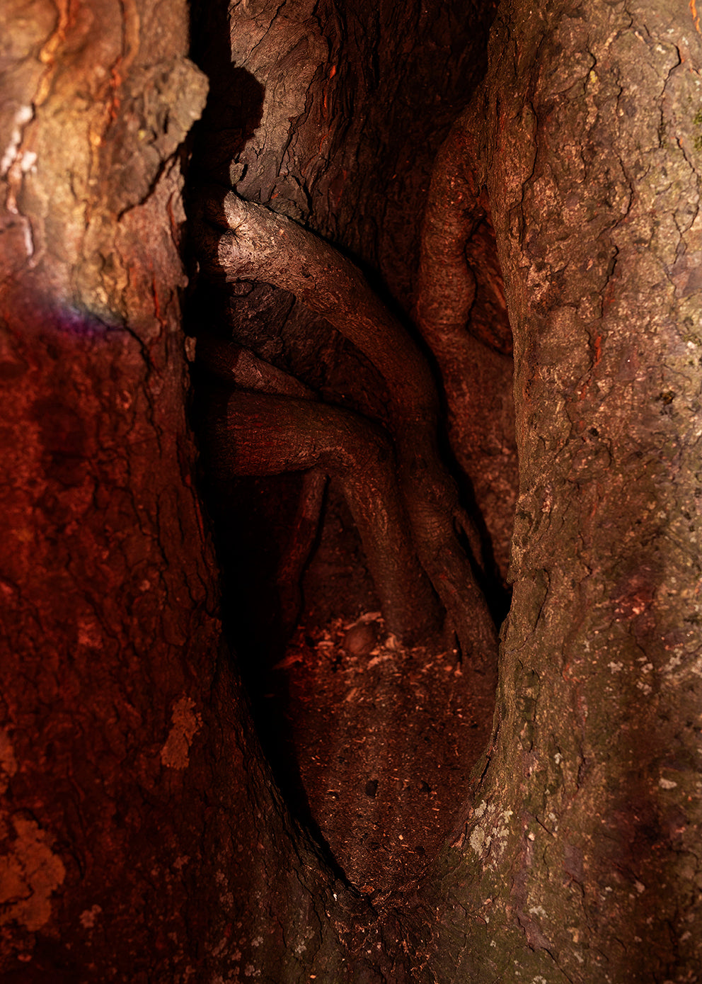 Colin Wright - Work 15 Untitled 2022 - Poster