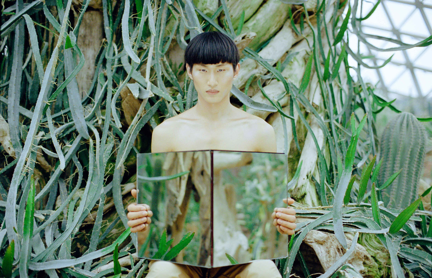 A person with short hair sitting among tall, leafy plants, holding a rectangular frame, with a blurred background.