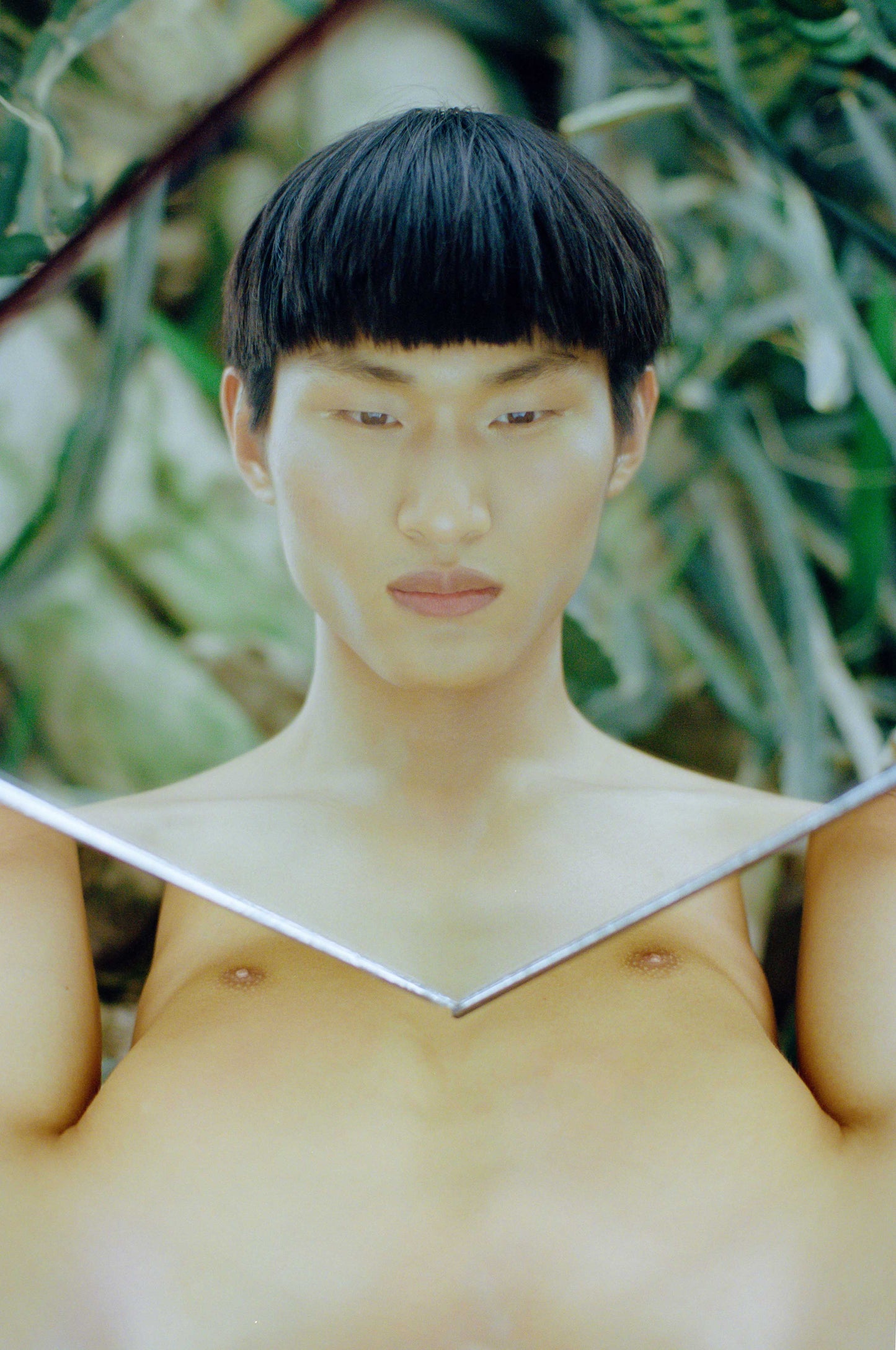 A blurred image of a person with reflective eyes looking off to the side, set against a natural background.