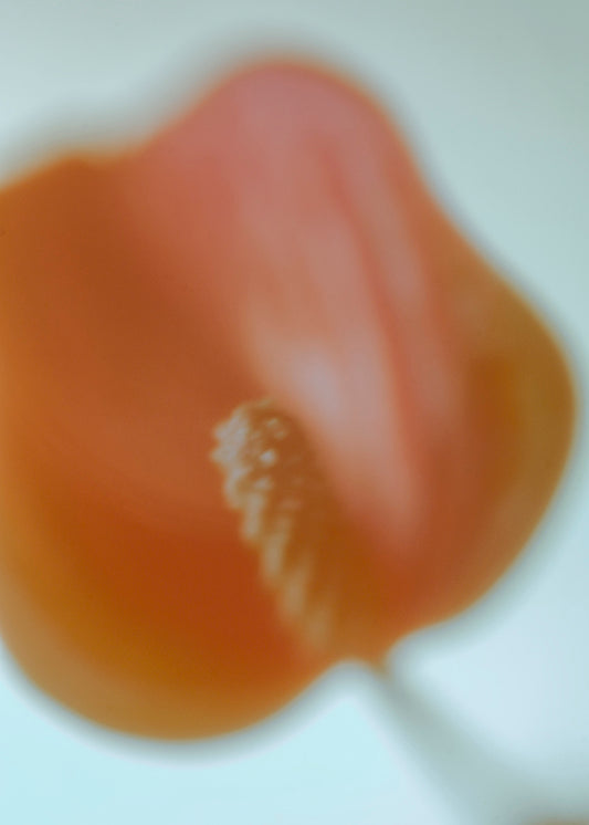 Berglind Rögnvaldsdóttir Móa #1