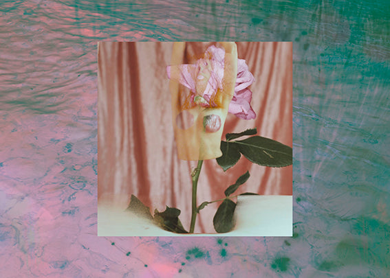 Berglind Rögnvaldsdóttir #12