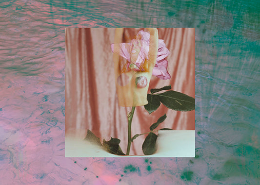 Berglind Rögnvaldsdóttir #12