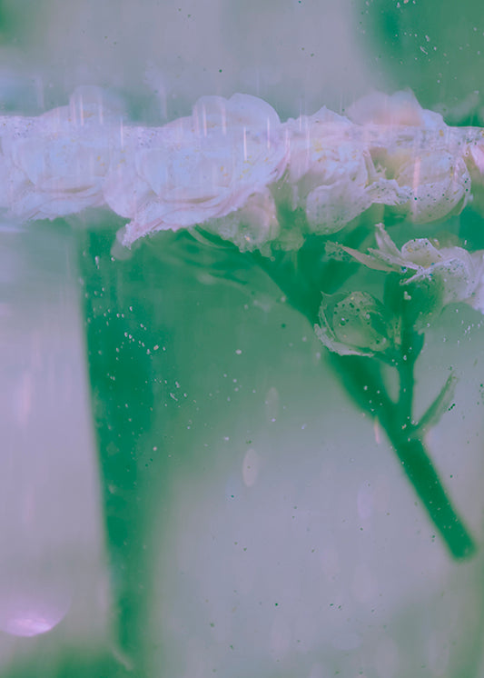 Berglind Rögnvaldsdóttir #14