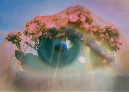 Berglind Rögnvaldsdóttir #4