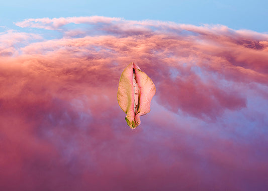 Berglind Rögnvaldsdóttir GRÝLA #5